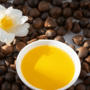 中华老字号恩泉：解锁药用山茶油的东方密码