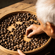 “长寿油” 茶油回归！恩泉中华老字号山茶油守护纯正品质