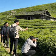 走进茶油世界:中华老字号山茶油的自然馈赠与匠心之美