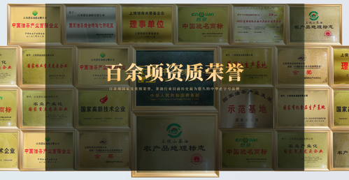 茶油十大品牌排行榜