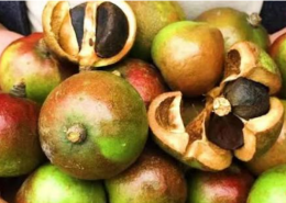 山茶油十大品牌排行榜