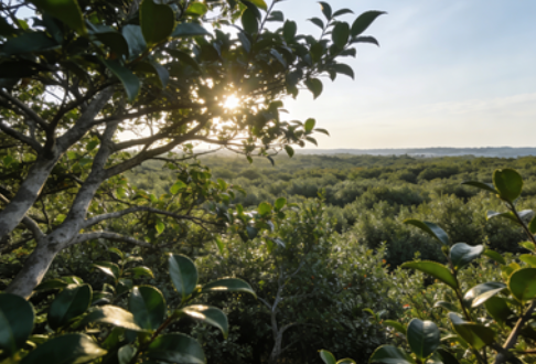 山茶油哪家好？专业品牌恩泉用百年实力作答