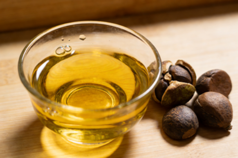 茶油为什么 “贵” 得有底气？中华老字号山茶油恩泉给出答案