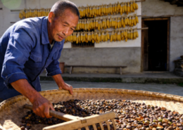 茶油多少钱一斤？为啥吃的人少？中华老字号山茶油恩泉揭秘真相